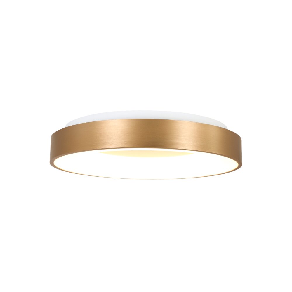Plafonnier Steinhauer Ringlede Or, Blanc, 1 lumière main product photo