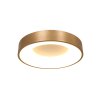 Plafonnier Steinhauer Ringlede Or, Blanc, 1 lumière