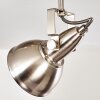 Plafonnier Tina Nickel mat, 4 lumières