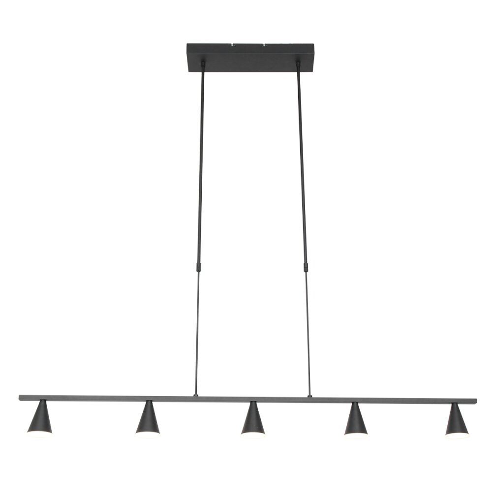 Suspension Steinhauer Vortex Noir, 5 lumières main product photo