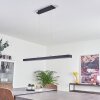 Suspension Seaton LED Noir, 1 lumière