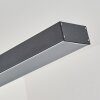 Suspension Seaton LED Noir, 1 lumière