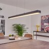 Suspension Seaton LED Noir, 1 lumière