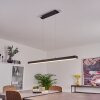 Suspension Seaton LED Noir, 1 lumière