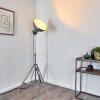 Lampadaire Svanfolk industrial Gris, 1 lumière