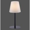 Lampe de table Leuchten Direkt KENO LED Noir, 1 lumière