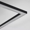 Plafonnier Thara LED Noir, 1 lumière, Télécommandes