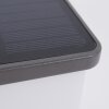 Lampe solaires Burseryd LED Anthracite, 1 lumière, Détecteur de mouvement