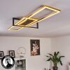 Plafonnier Omega LED Noir, 1 lumière