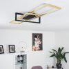 Plafonnier Omega LED Noir, 1 lumière