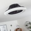 Ventilateur de plafond Piraeus LED Noir, 1 lumière, Télécommandes
