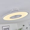 Ventilateur de plafond Marmorta LED Blanc, 1 lumière, Télécommandes