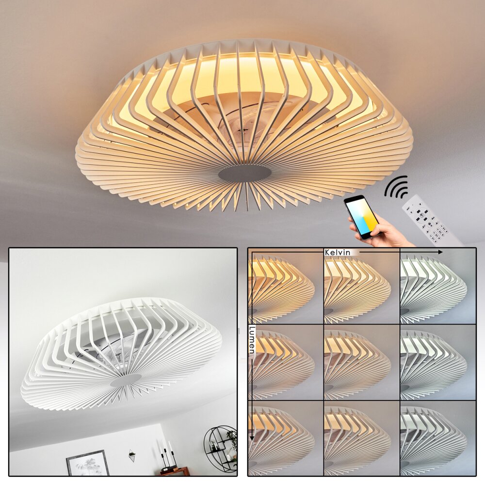 Ventilateur de plafond Rivarotta LED Blanc, 1 lumière, Télécommandes main product photo