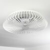 Ventilateur de plafond Rivarotta LED Blanc, 1 lumière, Télécommandes