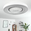 Ventilateur de plafond Penon LED Blanc, 1 lumière, Télécommandes