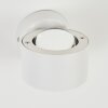 Applique murale d'extérieur Andersro LED Blanc, 2 lumières