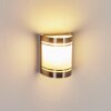 Applique murale d'extérieur Visnum Nickel mat, Blanc, 1 lumière