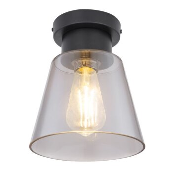 Plafonnier Globo GUMBA Fumé, 1 lumière