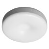 lampes pour bandeaux LEDVANCE DOT-IT Blanc, 1 lumière