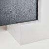 Applique murale d'extérieur Zoppola LED Anthracite, Blanc, 2 lumières Applique murale d'extérieur Zoppola LED Anthracite, Blanc, 2 lumières
