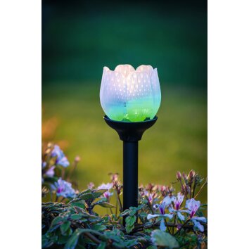 lampe solaire Eglo BLÜTE LED Noir, 2 lumières, Changeur de couleurs