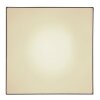 Plafonnier Globo SANNA LED Blanc, 1 lumière
