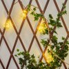 guirlande lumineuse solaire Trygsland LED Or, Clair, 10 lumières