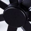 Ventilateur de plafond Aargaard Noir, Télécommandes