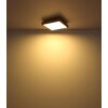 Plafonnier Globo DORO LED Couleur bois, Noir, 1 lumière