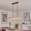 Suspension Rodeche LED Clair, Écru, 2 lumières