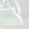 Plafonnier Giresta LED Écru, Blanc, 2 lumières