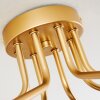 Plafonnier Alden Laiton, 8 lumières