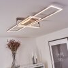 Plafonnier Omega LED Nickel mat, 1 lumière