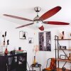 Ventilateur de plafond Gyllan Nickel mat, 1 lumière