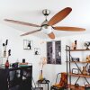 Ventilateur de plafond Gyllan Nickel mat, 1 lumière