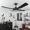 Ventilateur de plafond Tjerne LED Noir, 1 lumière