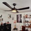 Ventilateur de plafond Tjerne LED Noir, 1 lumière