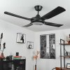 Ventilateur de plafond Tjerne LED Noir, 1 lumière