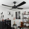 Ventilateur de plafond Tjerne Noir