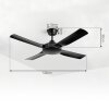 Ventilateur de plafond Tjerne Noir