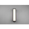 Applique murale d'extérieur Trio Fuerte LED Anthracite, 1 lumière