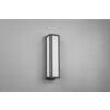 Applique murale d'extérieur Trio Fuerte LED Anthracite, 1 lumière
