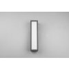 Applique murale d'extérieur Trio Fuerte LED Anthracite, 1 lumière