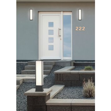 Applique murale d'extérieur Trio Fuerte LED Anthracite, 1 lumière