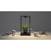 Lampe de table Artemide Curiosity LED Brun, Noir, 1 lumière