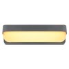 Applique murale d'extérieur Globo HONNA LED Anthracite, 1 lumière
