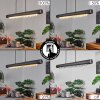 Suspension Rodeche LED Argenté, 1 lumière