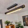 Plafonnier Rodeche LED Laiton, Noir, 1 lumière