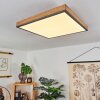 Plafonnier Salmi LED Couleur bois, Noir, Blanc, 1 lumière
