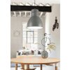 Suspension Eglo-Leuchten EBURY Gris, Blanc, 1 lumière